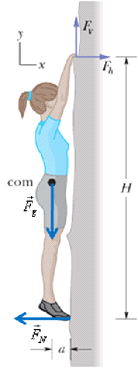 Equilibrium_and_elasticity_57.gif