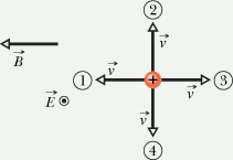MagneticField_96.gif
