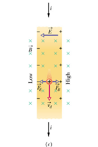 MagneticField_99.gif
